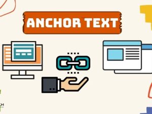 Anchor Text Là Gì? Tầm Quan Trọng Trong SEO Website
