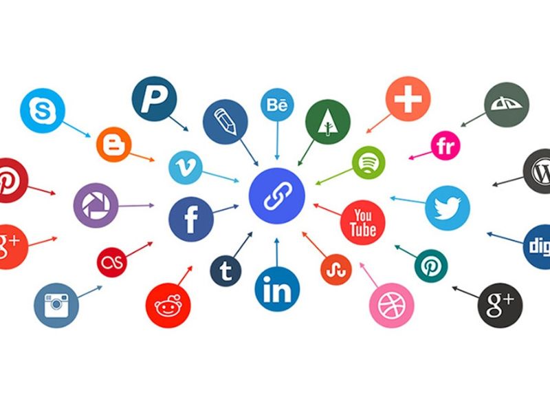Cách triển khai SEO Entity hiệu quả