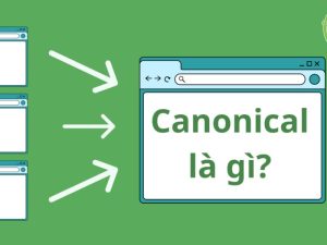 Canonical tag là gì?