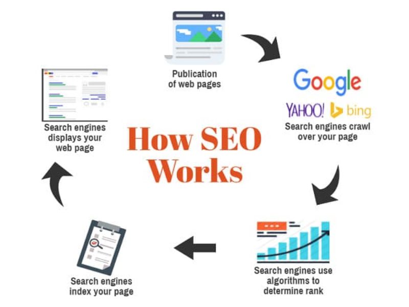 SEO Hoạt Động Như Thế Nào?