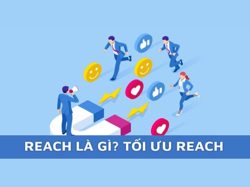 Các loại Reach phổ biến và vai trò chiến lược