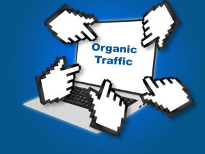 Đo lường Organic Traffic bằng công cụ nào?