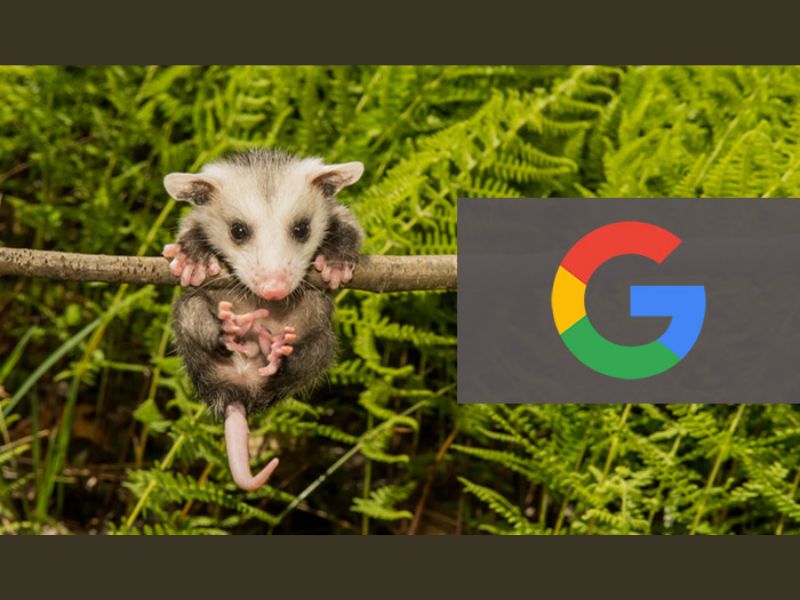 Mục tiêu của thuật toán Possum