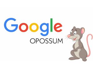 Mối liên hệ giữa Possum SEO và các thuật toán khác