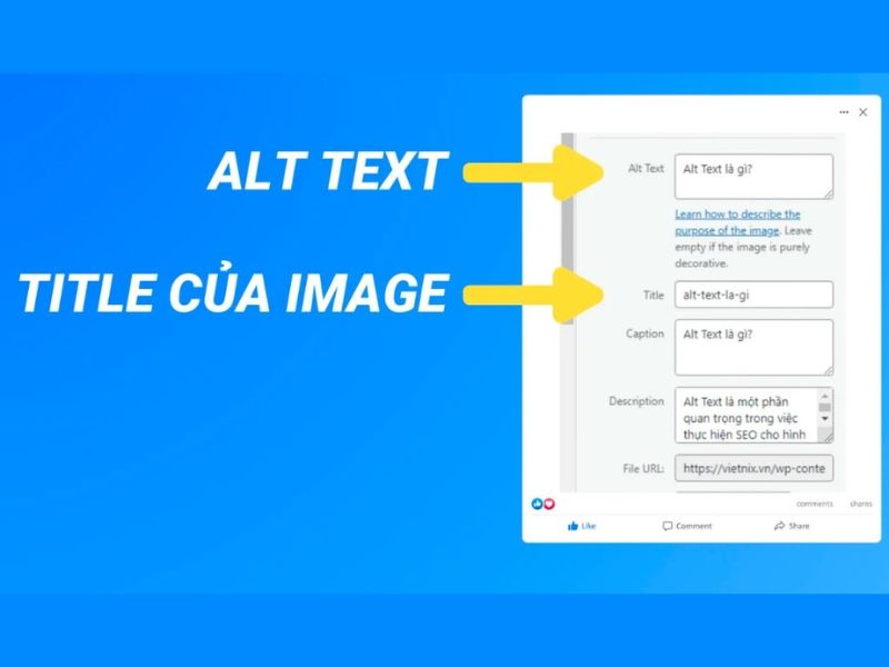 Alternative Text là gì?