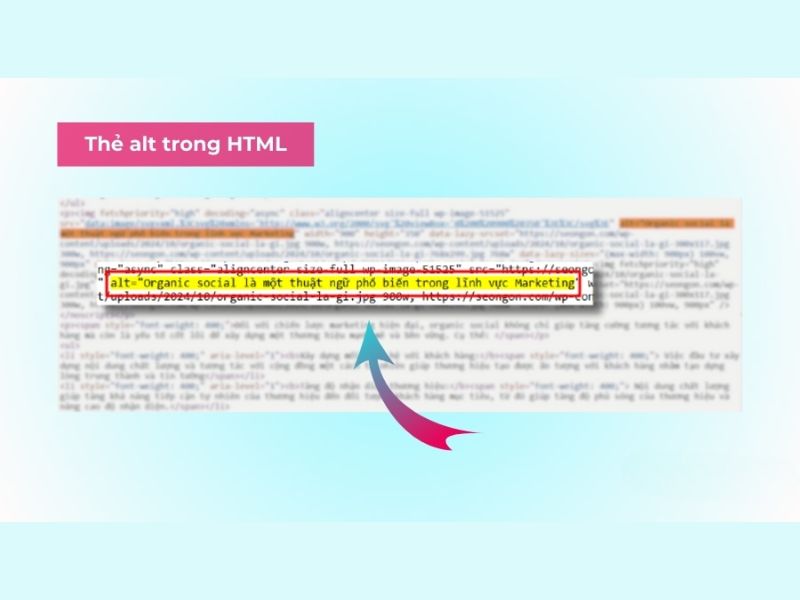 Cách kiểm tra và tối ưu thẻ Alt hiện có
