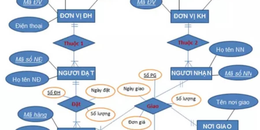 Xem thêm thông tin chi tiết Entity (Thực thể)