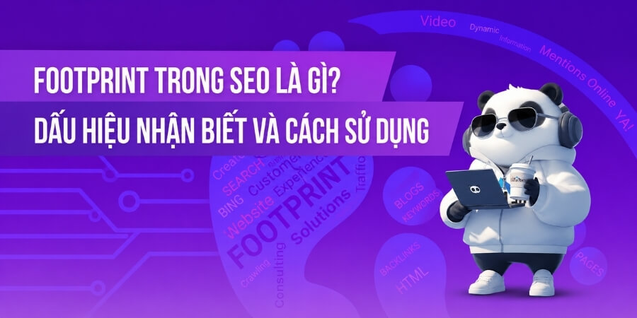 pbn backlinks